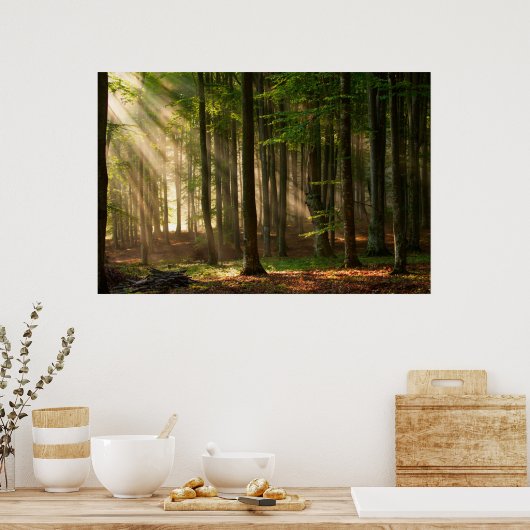 森林 |秋の森 ポスター (キッチン)