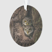 森林 | 2つのフクロウが探している オーナメント (正面)