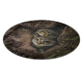 森林 | 2つのフクロウが探している カッティングボード (角)