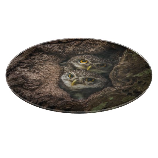 森林 | 2つのフクロウが探している カッティングボード (角)