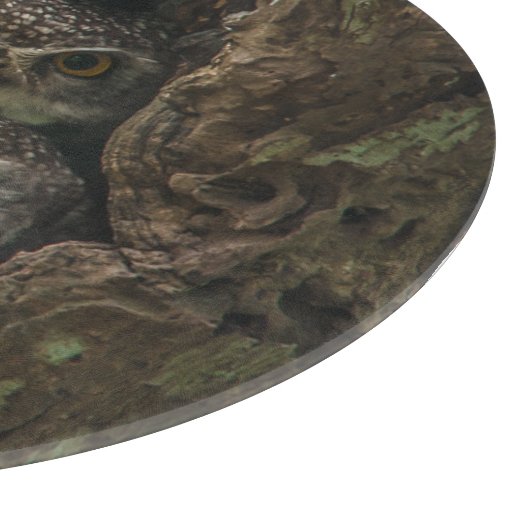 森林 | 2つのフクロウが探している カッティングボード (角)