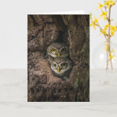 森林 | 2つのフクロウが探している カード (黄色い花)