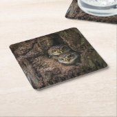 森林 | 2つのフクロウが探している スクエアペーパーコースター (アングル)