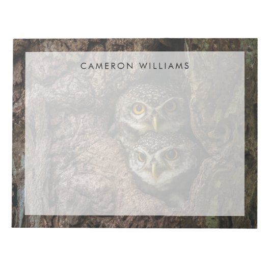 森林 | 2つのフクロウが探している ノートパッド (正面)