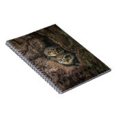 森林 | 2つのフクロウが探している ノートブック (右側)