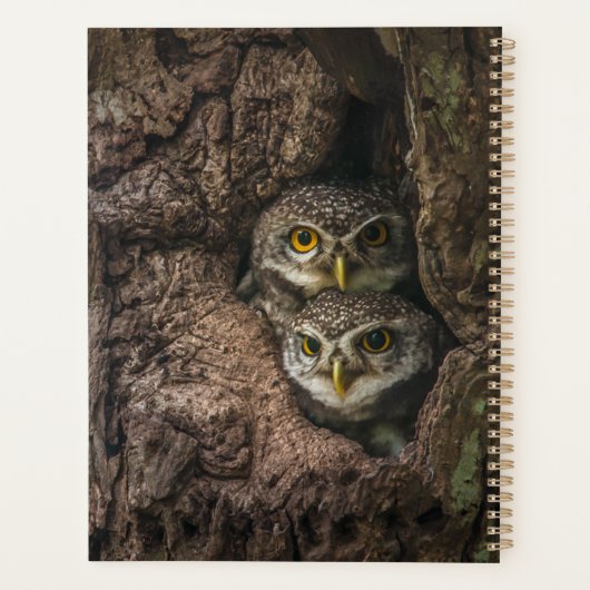 森林 | 2つのフクロウが探している プランナー手帳 (裏面)