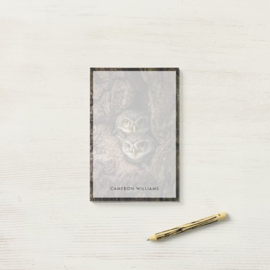 森林 | 2つのフクロウが探している ポストイット (デスク上)