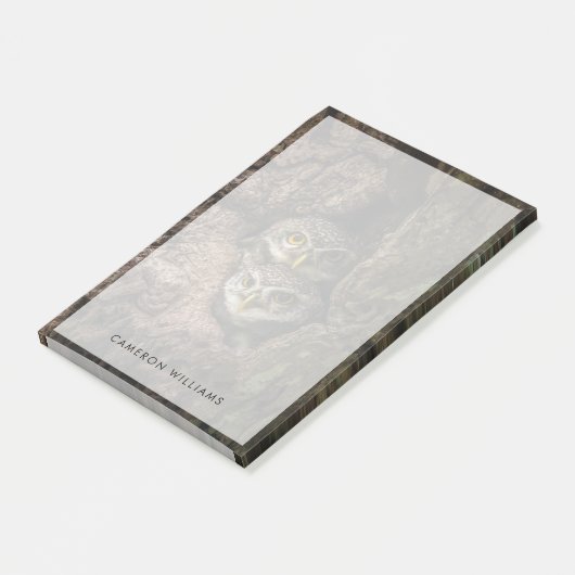 森林 | 2つのフクロウが探している ポストイット (アングル)