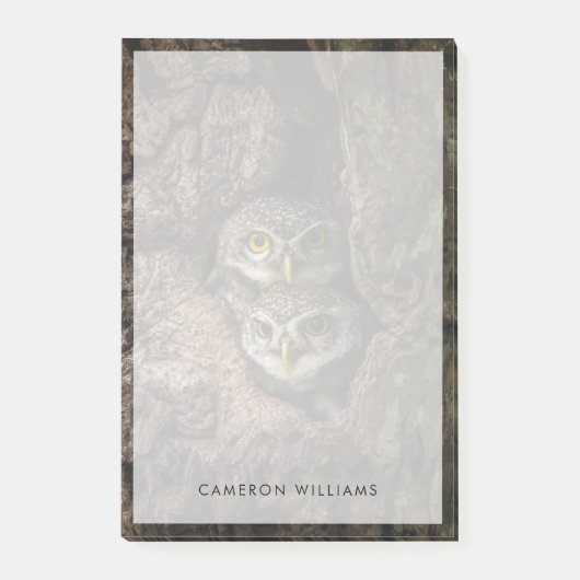 森林 | 2つのフクロウが探している ポストイット (正面)