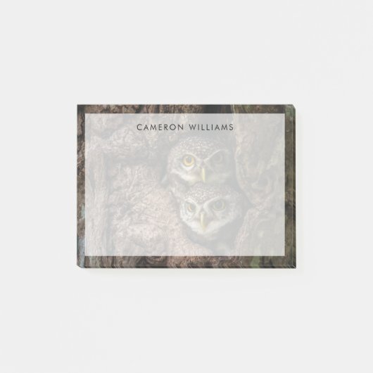 森林 | 2つのフクロウが探している ポストイット (正面)