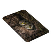 森林 | 2つのフクロウが探している マグネット (右側)