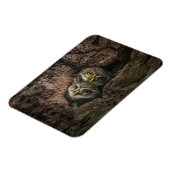 森林 | 2つのフクロウが探している マグネット (左側)