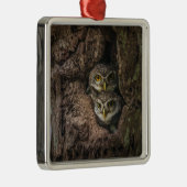 森林 | 2つのフクロウが探している メタルオーナメント (右)