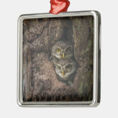 森林 | 2つのフクロウが探している メタルオーナメント (左)