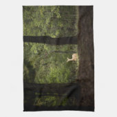 森林 | A白い尾を持つ鹿の森 キッチンタオル (縦)
