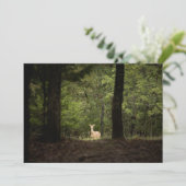 森林 | A白い尾を持つ鹿の森 サンキューカード (スタンド正面)