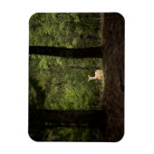 森林 | A白い尾を持つ鹿の森 マグネット (縦)