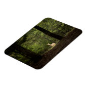 森林 | A白い尾を持つ鹿の森 マグネット (左側)