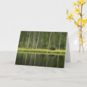 森林 Bear at Taiga Forest Northern Finland カード (黄色い花)