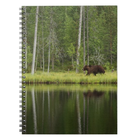 森林 Bear at Taiga Forest Northern Finland ノートブック (正面)