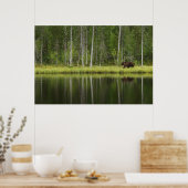 森林 Bear at Taiga Forest Northern Finland ポスター (キッチン)