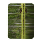 森林 Bear at Taiga Forest Northern Finland マグネット (縦)