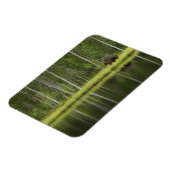 森林 Bear at Taiga Forest Northern Finland マグネット (左側)