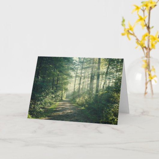 森林 Forest Path Hamburg Germany カード (黄色い花)