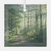 森林 Forest Path Hamburg Germany ガラスオーナメント (正面)