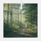 森林 Forest Path Hamburg Germany ガラスオーナメント (裏面)