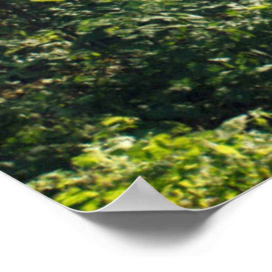 森林 Forest Path Hamburg Germany ポスター (角)