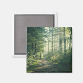 森林 Forest Path Hamburg Germany マグネット (正面/裏面)