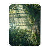 森林 Forest Path Hamburg Germany マグネット (縦)