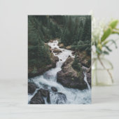 森林 | Grison Graubunden Canton サンキューカード (スタンド正面)