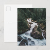 森林 | Grison Graubunden Canton ポストカード (正面/裏面)