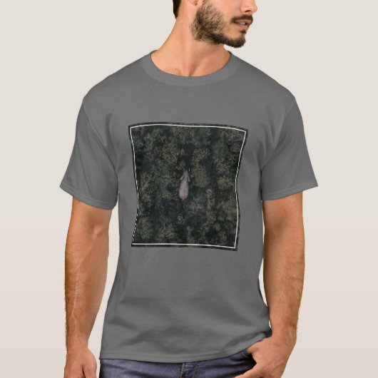 森林 | Lalibela Game Reserve Tシャツ (正面)
