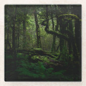 森林 | Routeburn Track Fiordland国立公園 ガラスコースター (正面)