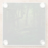 森林 | Routeburn Track Fiordland国立公園 ガラスコースター (裏面)