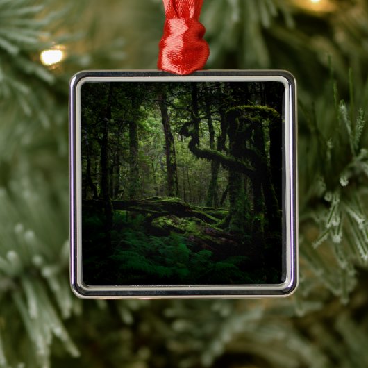 森林 | Routeburn Track Fiordland国立公園 メタルオーナメント (ツリー)