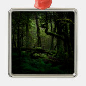 森林 | Routeburn Track Fiordland国立公園 メタルオーナメント (正面)