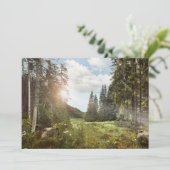 森林 | Sun Peek Thru サンキューカード (スタンド正面)