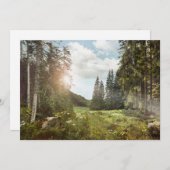 森林 | Sun Peek Thru サンキューカード (正面/裏面)