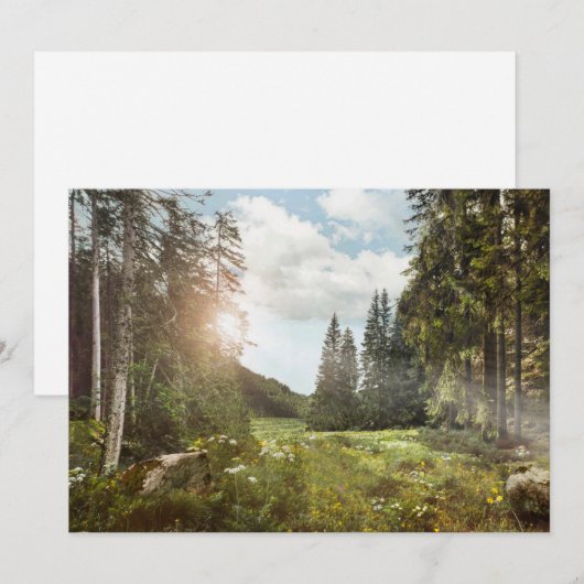 森林 | Sun Peek Thru サンキューカード (正面/裏面)