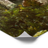 森林 | Sun Peek Thru ポスター (角)