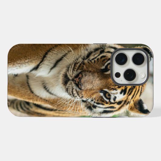 森歩く虎 iPhoneケース (裏面横)