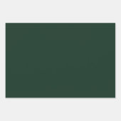 森無地の平野ダークグリーン ラッピングペーパーシート (正面3)