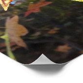 森白熱［赤熱］光を放つのアユの葉 ポスター (角)