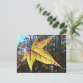 森白熱［赤熱］光を放つのアユの葉 ポストカード (スタンド正面)