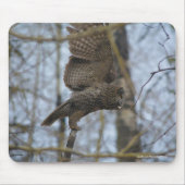 森素晴らしの野生生物で生まれるグレイ・フクロウの写真 マウスパッド (正面)
