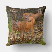 森素晴らしの鹿の三尾 クッション (裏面)